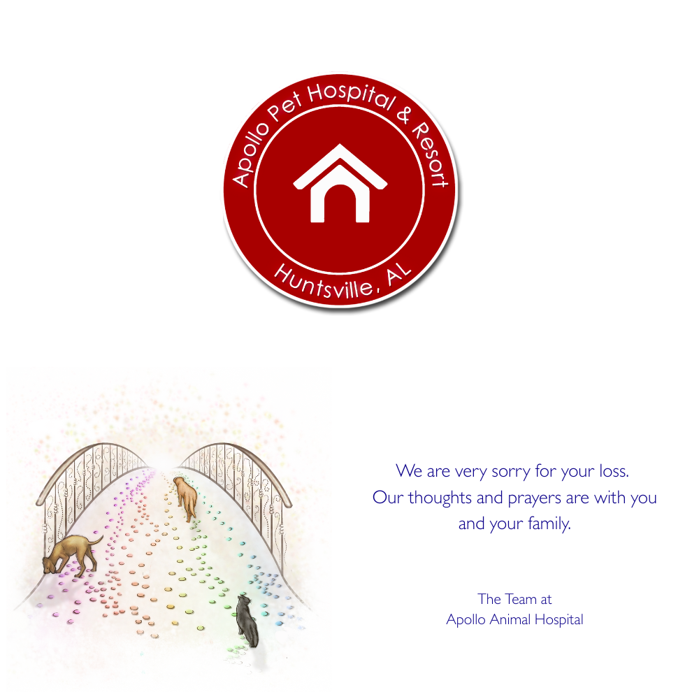 A custom-printed Rainbow Bridge Card with Apollo Animal Hospital's logo on the back. The front features an illustration of a rainbow bridge motif with a cat and a dog surrounded by heart shapes and a message of sympathy.