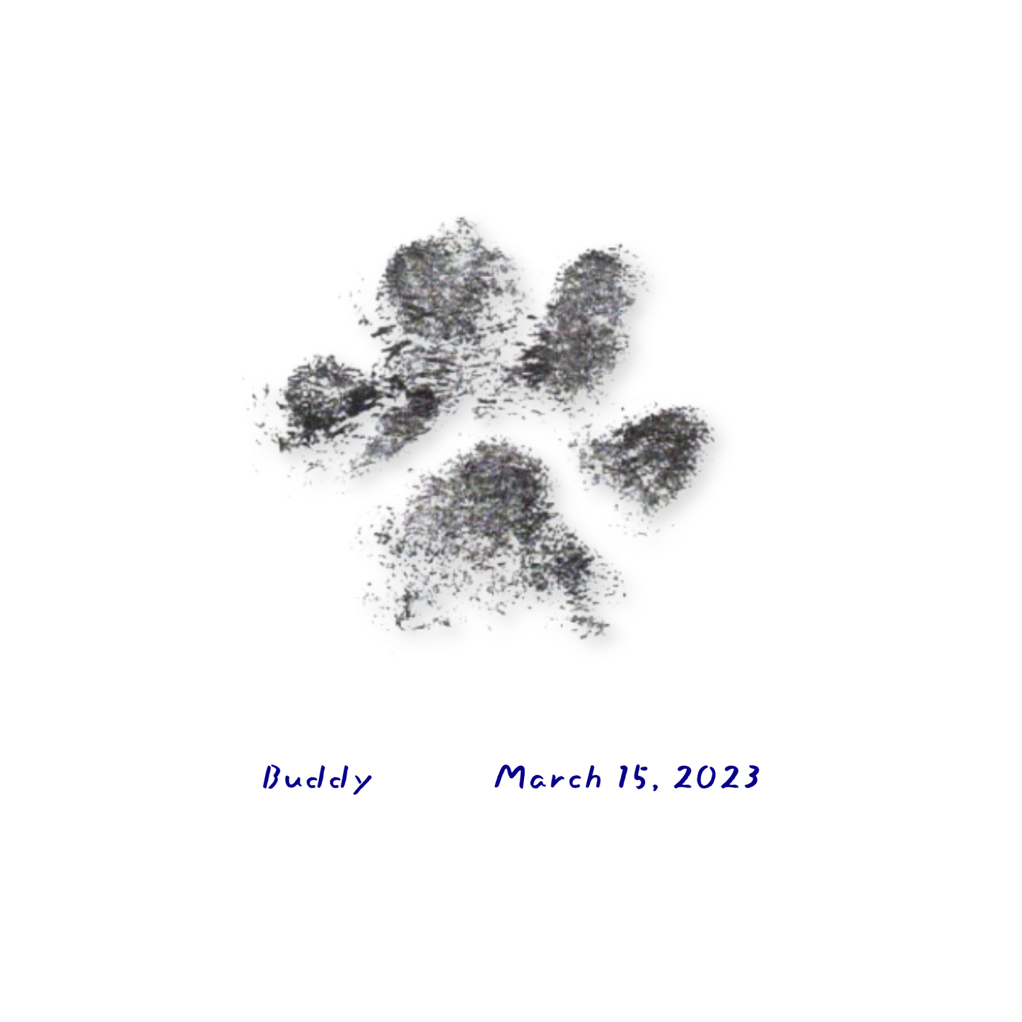 A black paw print on a white background from the Paw Print add-on, symbolizing compassion, with Buddy written below left and March 15, 2023 on the right in blue handwriting.
