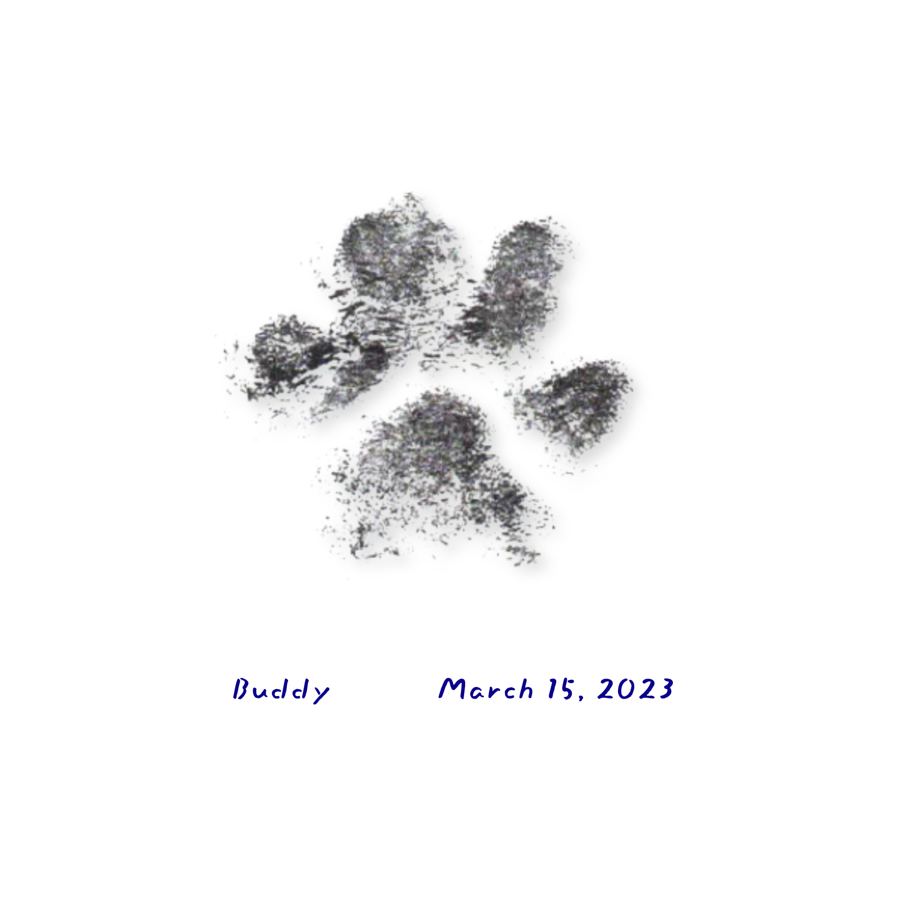 A black paw print on a white background from the Paw Print add-on, symbolizing compassion, with Buddy written below left and March 15, 2023 on the right in blue handwriting.