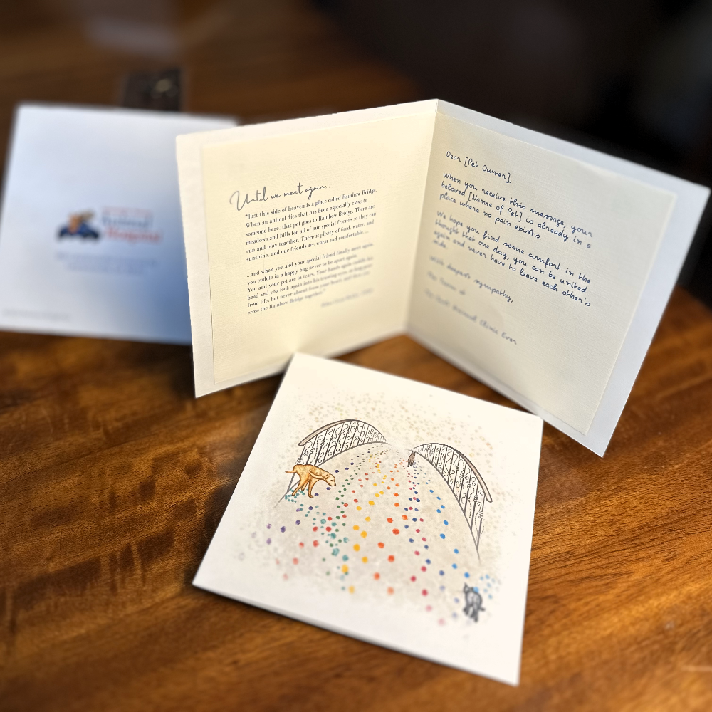 Rainbow Meadow Clinic Sample (incl. FREE engraved treat box)