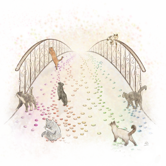 A sympathy card featuring an artistic design with cats in various colors walking across a rainbow bridge, customizable with the veterinary clinics's logo.