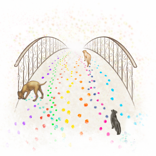 A design of a sympathy card featuring an illustrated bridge with colorful dots and the silhouettes of a dog and a cat on either side.