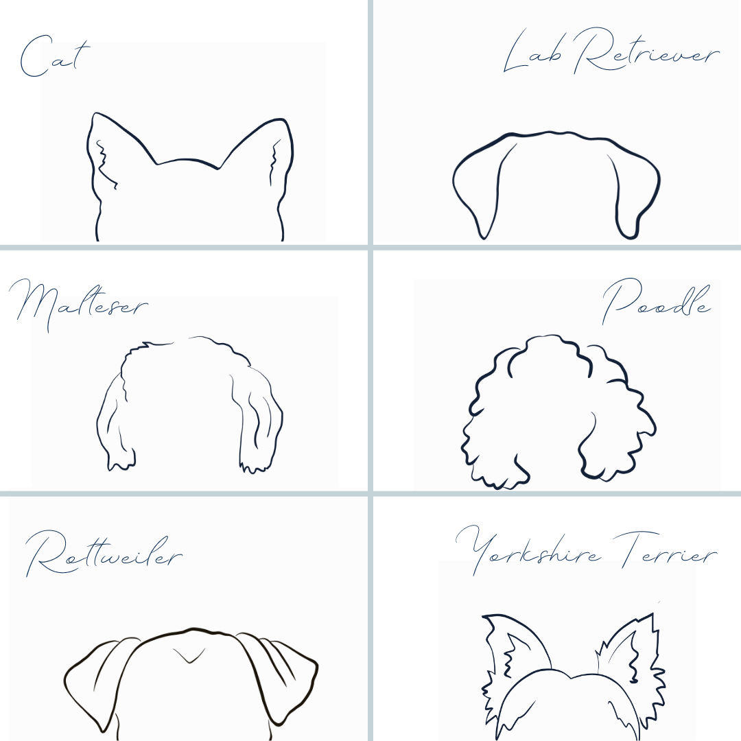 Test Product for Test Vet
