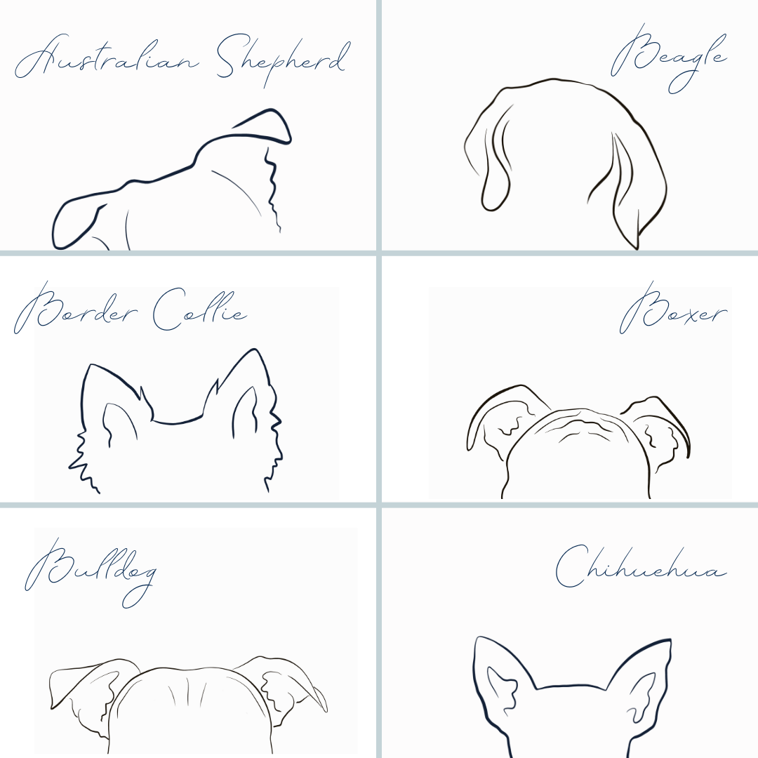 Collier Animal Hospital