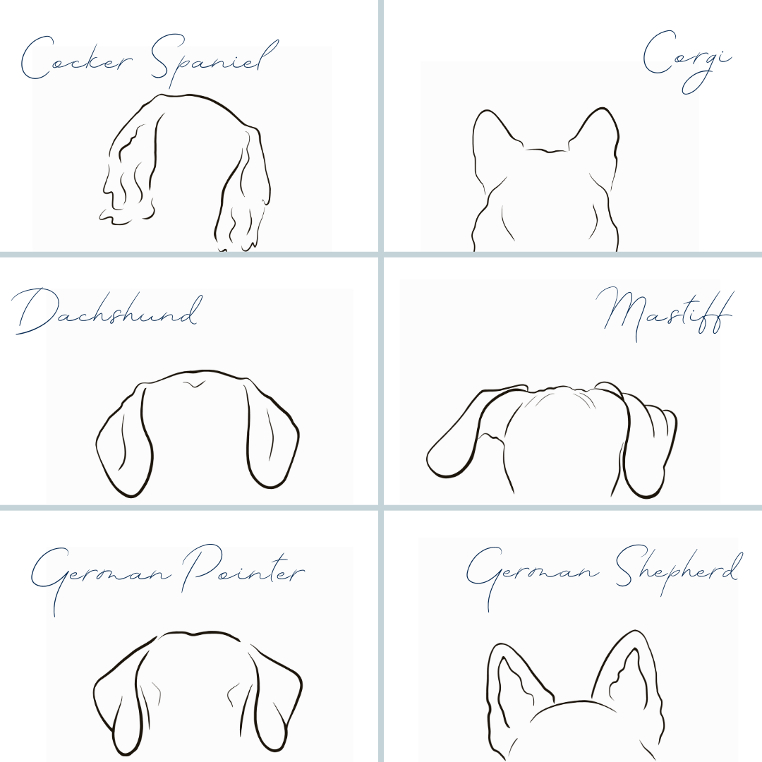 Test Product for Test Vet
