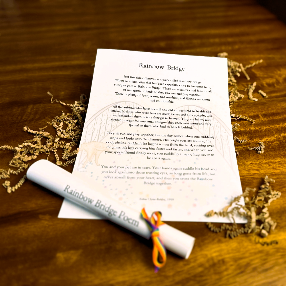 Rainbow Meadow Clinic Sample (incl. FREE engraved treat box)