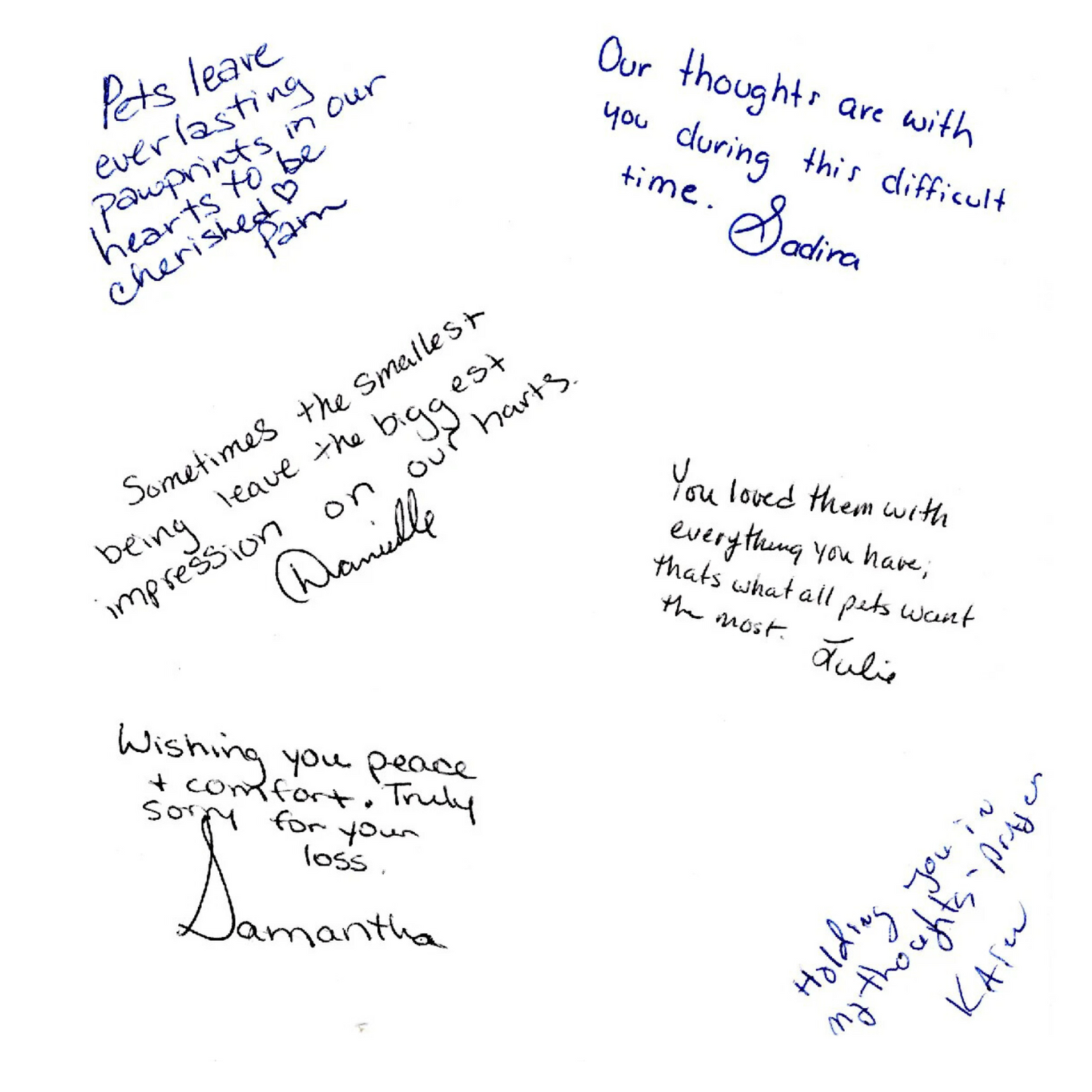 A collection of signatures from the team of Red Lake Falls Veterinary Clinic for their Rainbow  Bridge Cards.