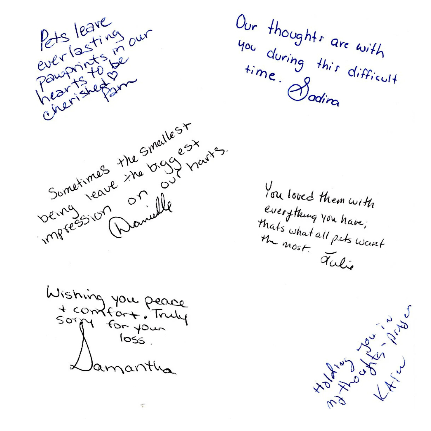 A collection of signatures from the team of Red Lake Falls Veterinary Clinic for their Rainbow  Bridge Cards.
