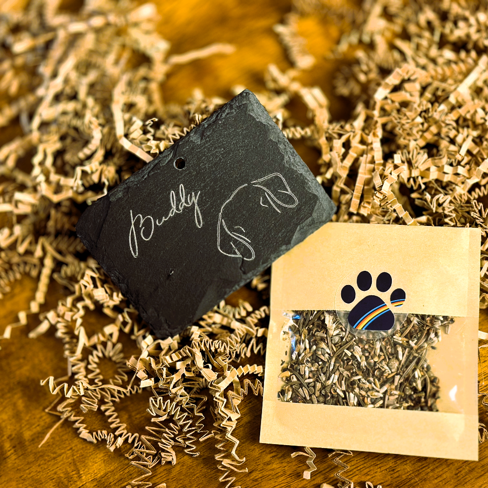 Rainbow Meadow Clinic Sample (incl. FREE engraved treat box)