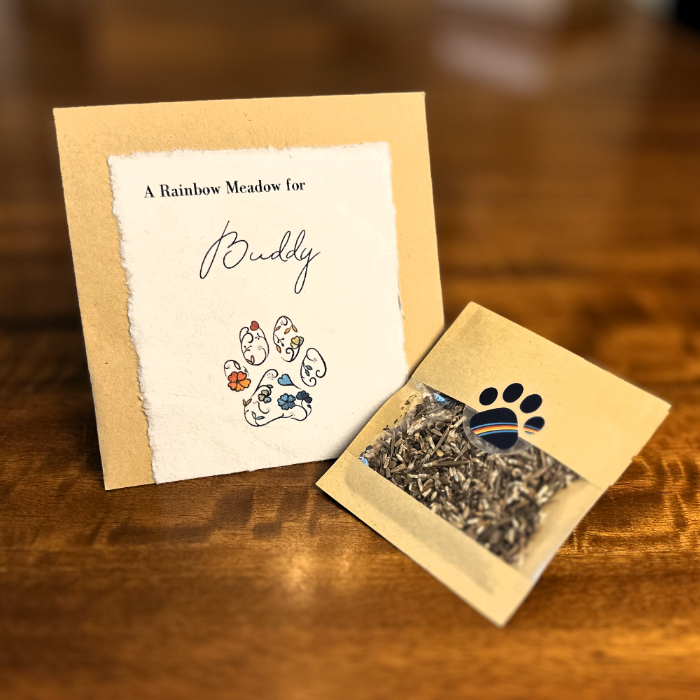 Rainbow Meadow Clinic Sample (incl. FREE engraved treat box)
