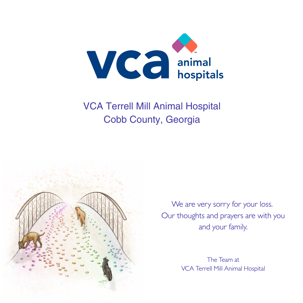 A custom-printed Rainbow Bridge Card with the VCA Terrell Mill Animal Hospital logo, featuring an illustration of a rainbow bridge motif.