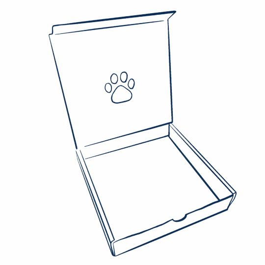 content of the rainbowbox animated