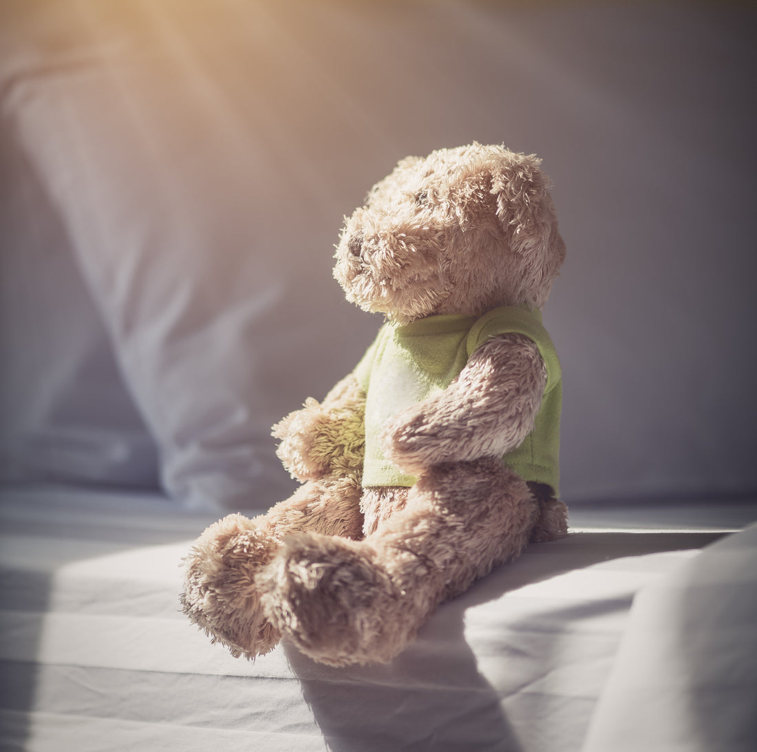 Client Aftercare Is More Than a Gesture — It’s the Missing Link in Compassionate Veterinary Practice