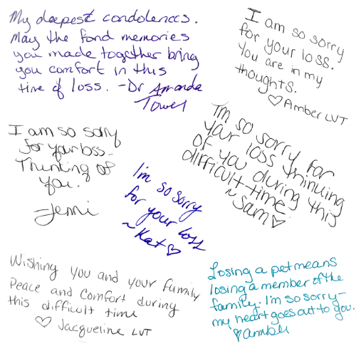 Handwritten condolences on a white background