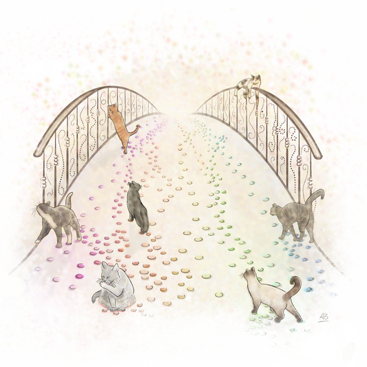 Rainbow Bridge 'Cats', 60 count