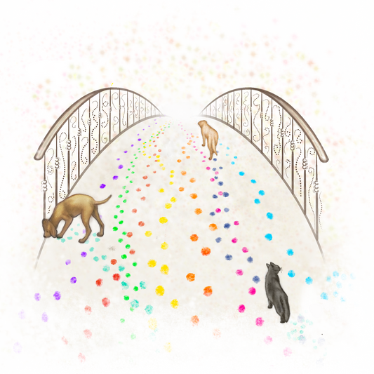 NEW Rainbow Bridge 2 Card with your logo (30 pack)