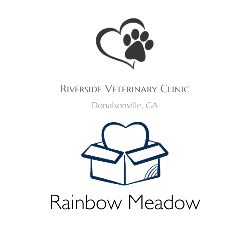 Riverside Veterinary Clinic Rainbow Meadow