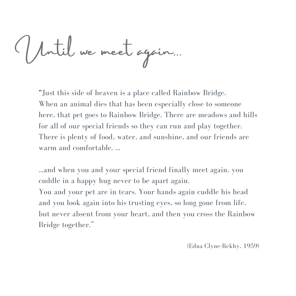 Until we meet again-Rainbow Bridge Poem (short)
