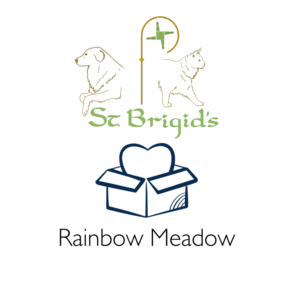 Logo for St Brigid's Rainbow Meadow featuring illustrations of a dog, a cat, and a box with a heart.